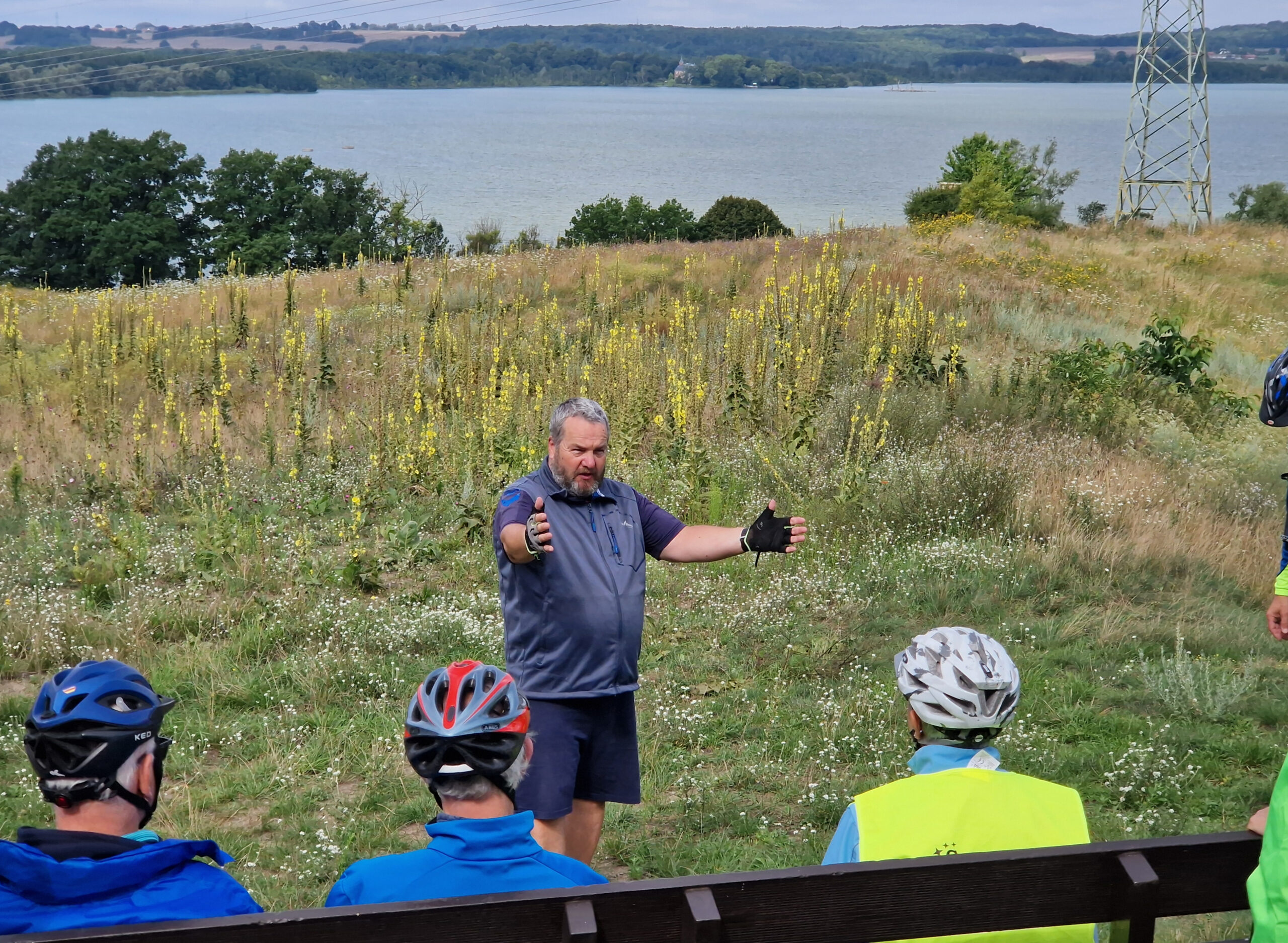 Marco Tollenseseeradweg